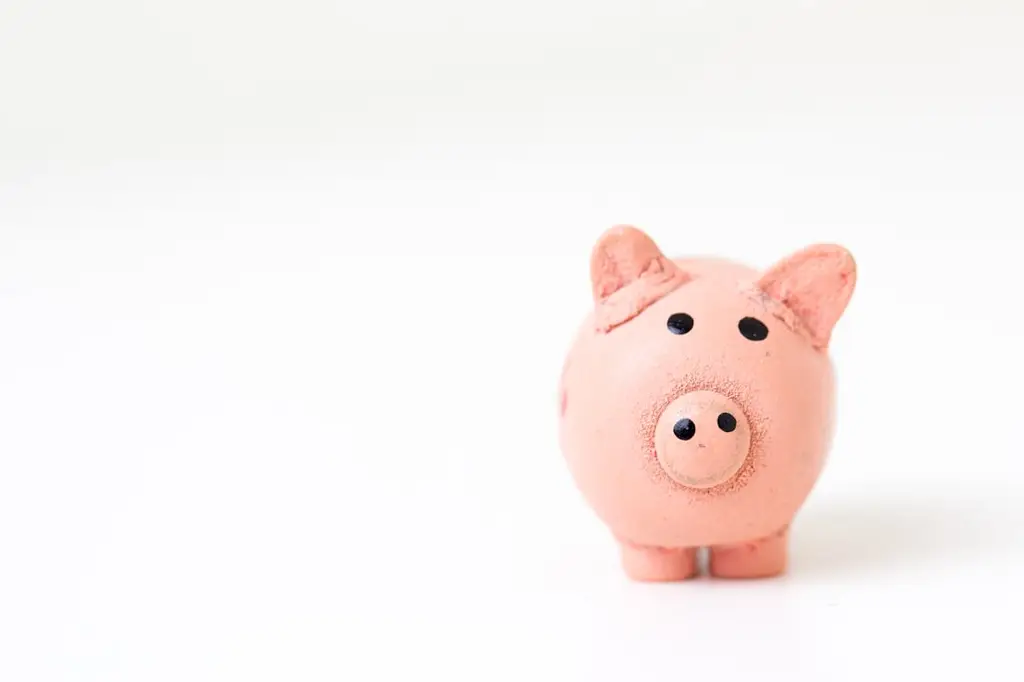 個人勞退帳戶指南：打造退休金安全網