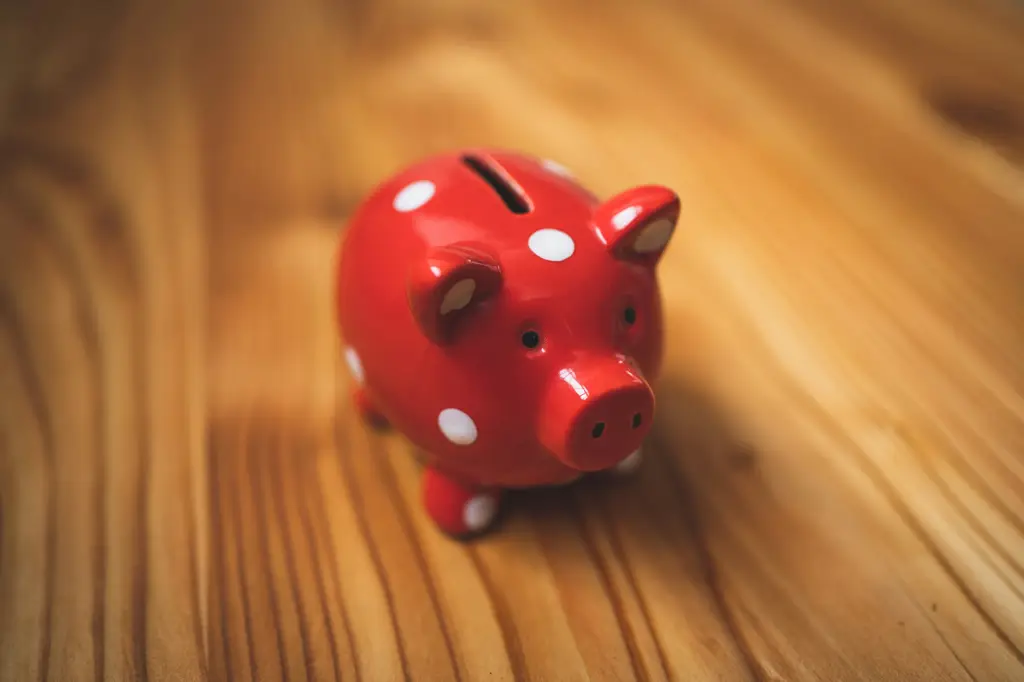 勞退提撥金，你不可不知的退休金規劃要點