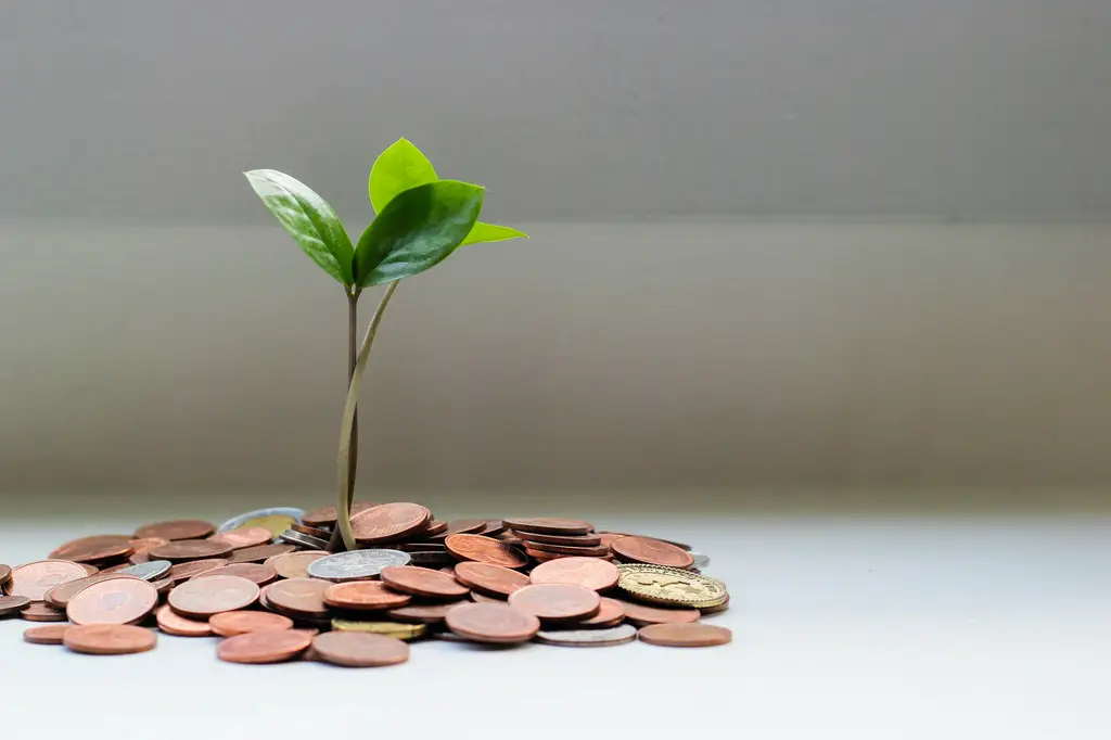 勞退最低保證收益：您的退休金安全網